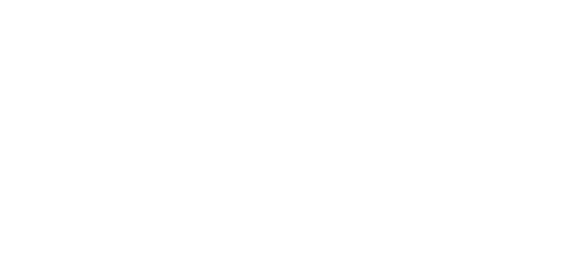 Fennex club